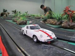 IMG_7637 IMG_7637