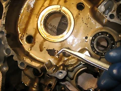 IMG_2153 IMG_2153