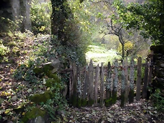 DSCN0521 DSCN0521