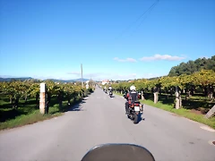DSCN0262 DSCN0262
