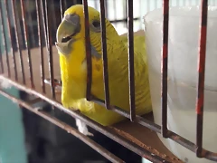 20170625_113614 20170625_113614