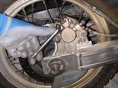 DSCN1584 DSCN1584