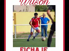 wilson23-1