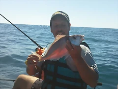 100_0062 100_0062