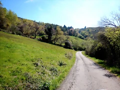 DSCN3971