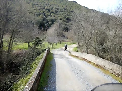 DSCN3193 DSCN3193