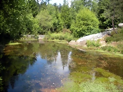DSCN5343 DSCN5343