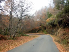 DSCN3128 DSCN3128