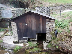 DSCN0581 DSCN0581