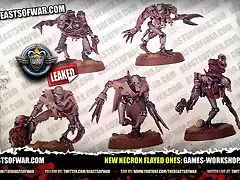 New-Necron-Flayed-Ones