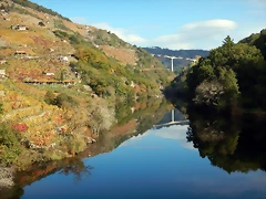 DSCN9795