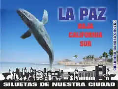 LA PAZ BAJA CALIFORNIA SUR, BALLENA GRIS