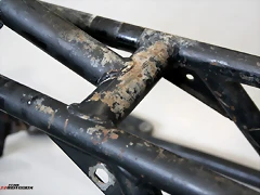 IMG_1358 IMG_1358