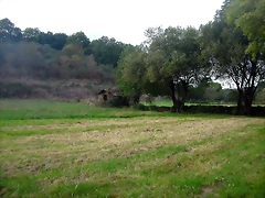 DSCN5277 DSCN5277