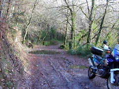DSCN7220 DSCN7220