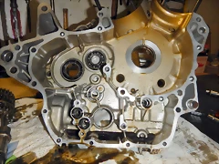 DSCN1545 DSCN1545