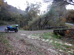 DSCN0629