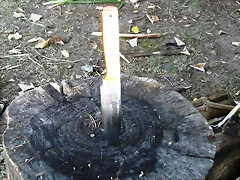 DSCF0965 DSCF0965