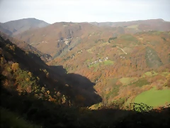 DSCN0548 DSCN0548