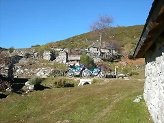 DSCN6903 DSCN6903