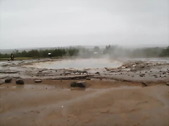 IMG_0956 IMG_0956