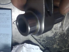 IMAG1446 IMAG1446