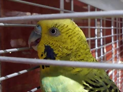 6/10 foto 1 6/10 foto 1