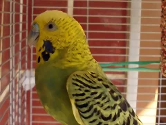 6/10 foto 2 6/10 foto 2