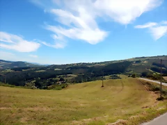 DSCN8113 DSCN8113