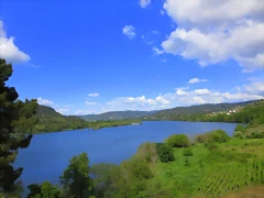 23-Imagen 025 23-Imagen 025