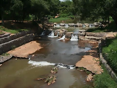 National Geological Gardens Pretoria 18-01-09 019 National Geological Gardens Pretoria 18-01-09 019