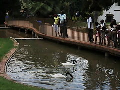 National Geological Gardens Pretoria 18-01-09 071 National Geological Gardens Pretoria 18-01-09 071