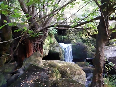 DSCN8435