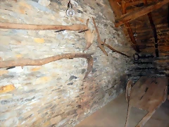 DSCN0356 DSCN0356