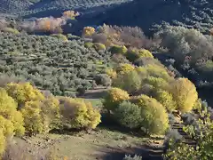 16, el ro que baja desde el puente 2