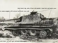 Panther 121