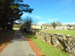 DSCN9342 DSCN9342