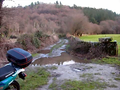 DSCN7237 DSCN7237