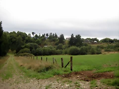 IMG_0251 IMG_0251