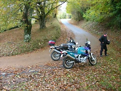 DSCN5955 DSCN5955