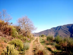 DSCN3883