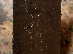 20180619_132801 20180619_132801