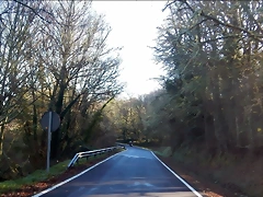 DSCN1560 DSCN1560