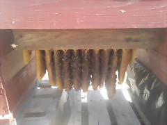 2014-08-31-548 2014-08-31-548