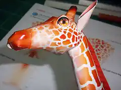 Girafa (13)