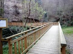 DSCN9669 DSCN9669