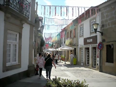 DSCN7646 DSCN7646