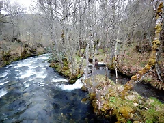 DSCN3965 DSCN3965