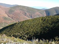 DSCN6842