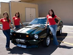 Shelby Mustang Cobra II - 03 Shelby Mustang Cobra II - 03